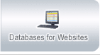 Custom Databases for Websites